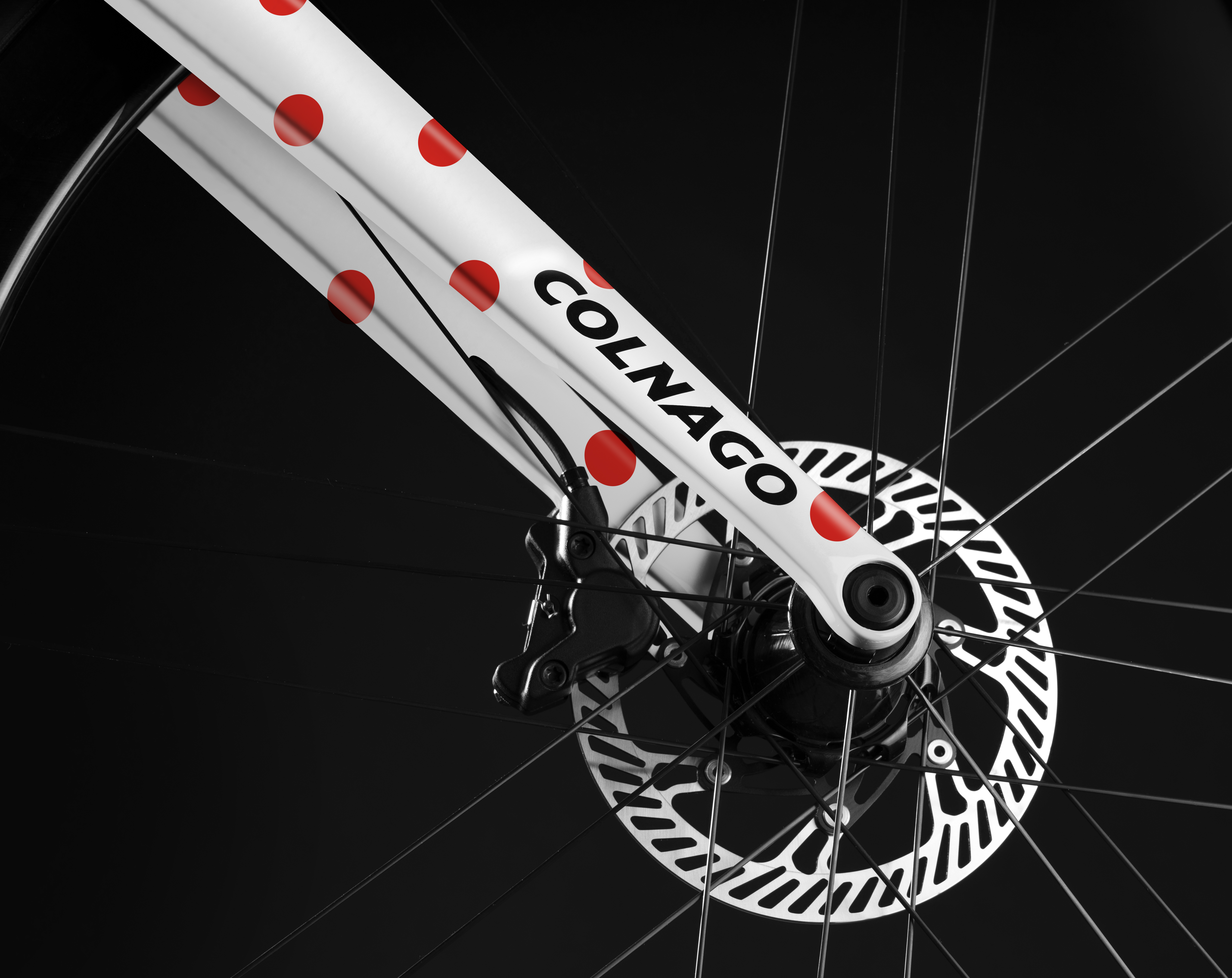 V3Rs TDF POGA - POIS - particolare 2